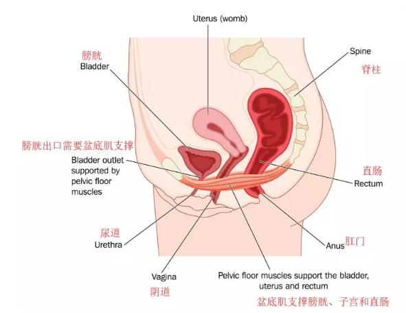 微信截图_20190815105517.jpg