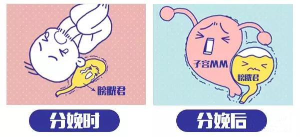 微信截图_20190803145109.jpg